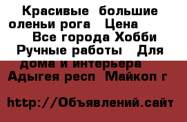 Красивые  большие оленьи рога › Цена ­ 3 000 - Все города Хобби. Ручные работы » Для дома и интерьера   . Адыгея респ.,Майкоп г.